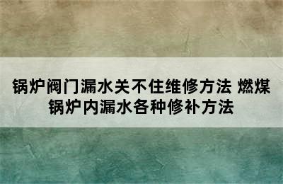 锅炉阀门漏水关不住维修方法 燃煤锅炉内漏水各种修补方法